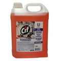 CIF LIMPIADOR ANTIGRASA PRO BIDON 5LT