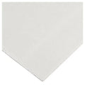 Yeso Carton 12.5 Mm 120 X 240 Br