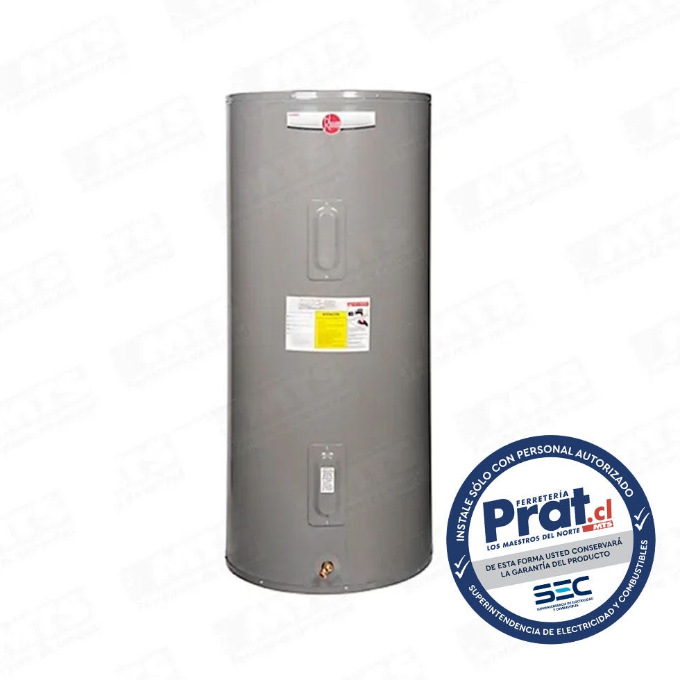 Rheem Termo Electrico 303l 220v Pie