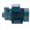 Pedrollo Bomba Elec. 0.7 Hp Mod. Pkm65 1 X 1