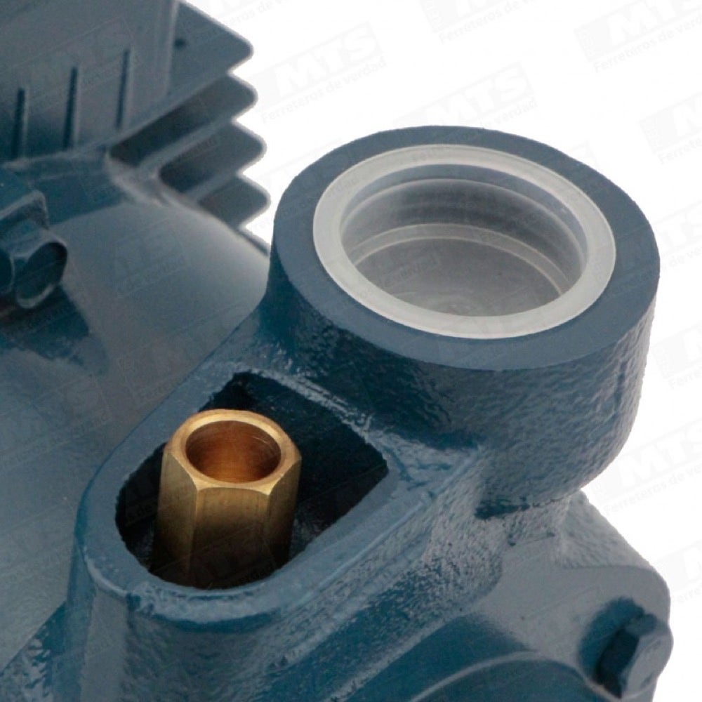 Pedrollo Bomba Elec. 1.50 Hp Mod. Pkm100 1 X 1