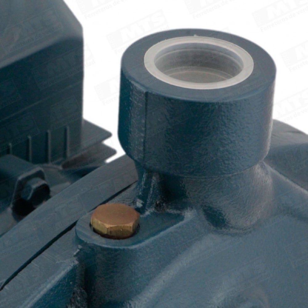 Pedrollo Bomba Elec. 1.00 Hp Mod. Cpm150 1 X 1
