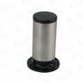 CARP. PATA REGULABLE INOX D45 X 100 mm