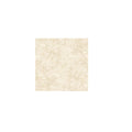 CERAMICA ALLPA BENFICA MARFIL 36X36 2.68M2
