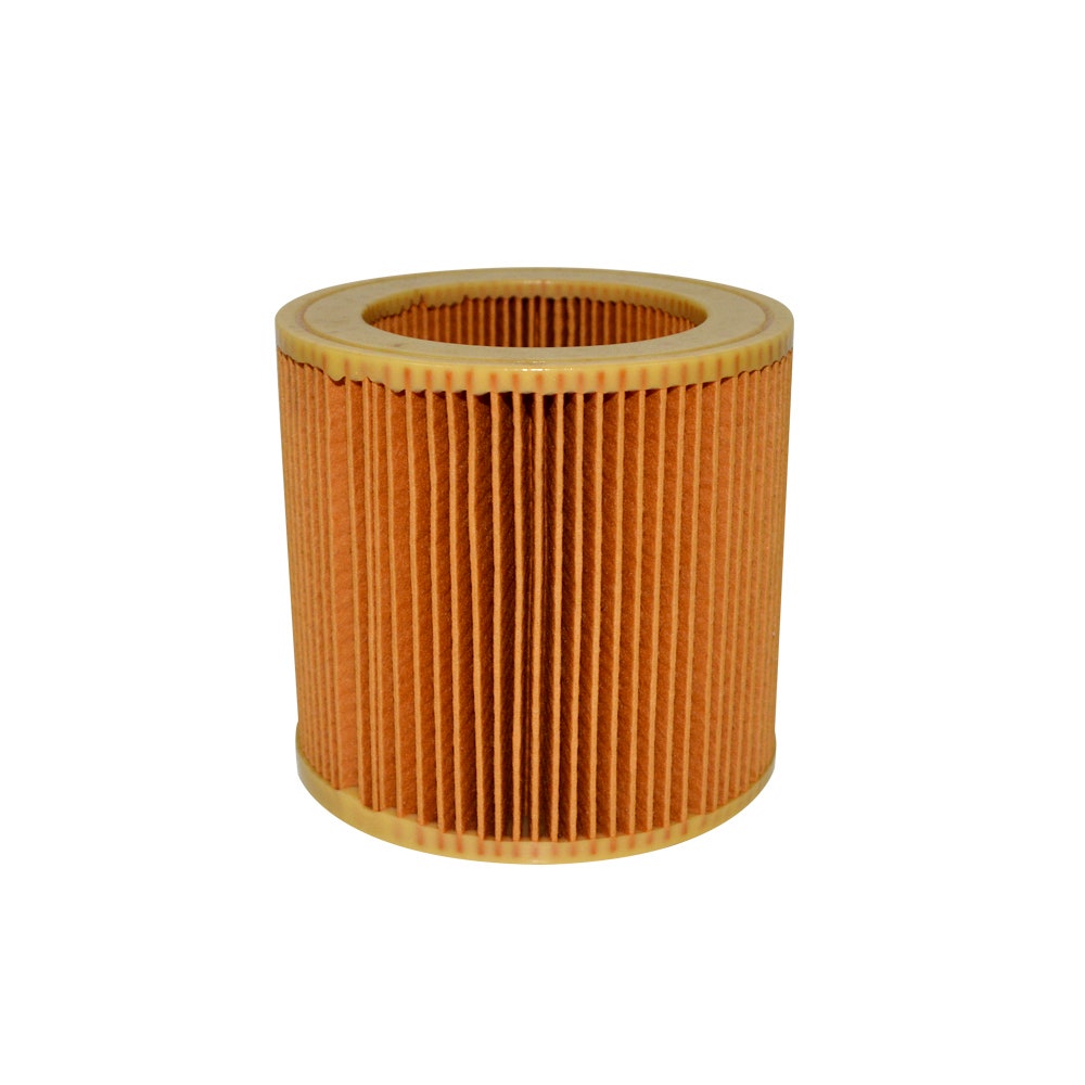KAERCHER FILTRO MOTOR WD 2200/3300