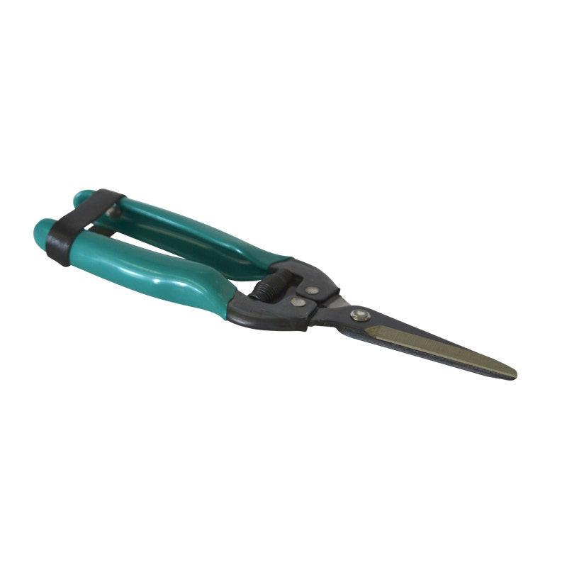 GREEN SEA TIJERA PODAR MOD. 428G