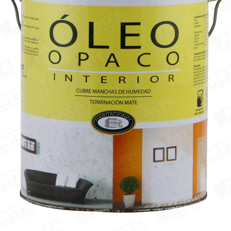Ceresita Oleo Opaco Blanco Gl
